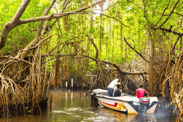 Bentota River Safari